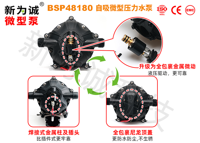 BSP48180-big5